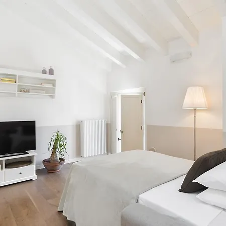 Appartamento Palazzo Scolari Polpenazze del Garda